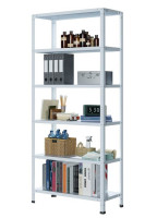 Стеллаж MS Standart 255/100x50/6